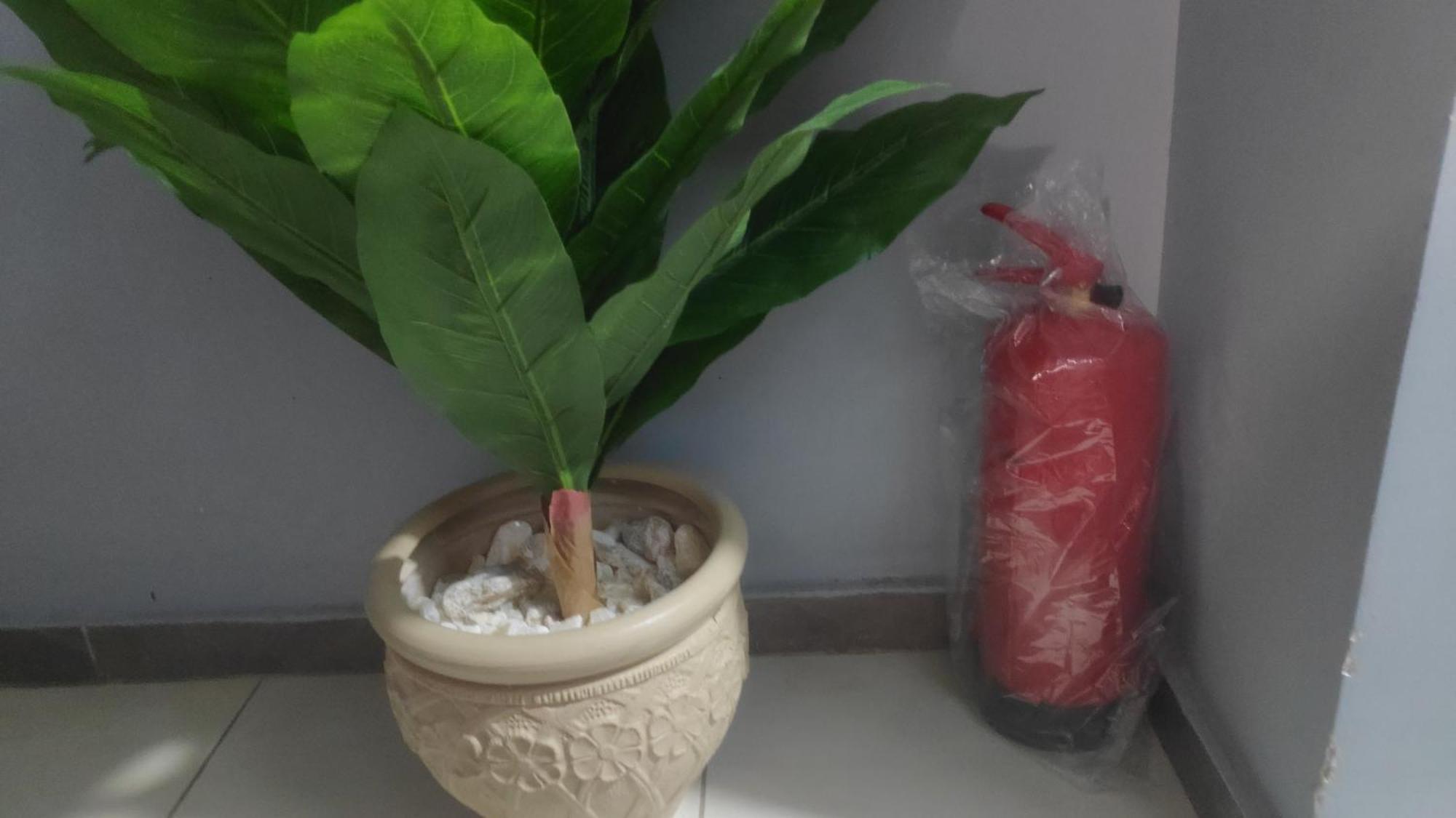 קהיר Nile Pyramidal View Apartment מראה חיצוני תמונה